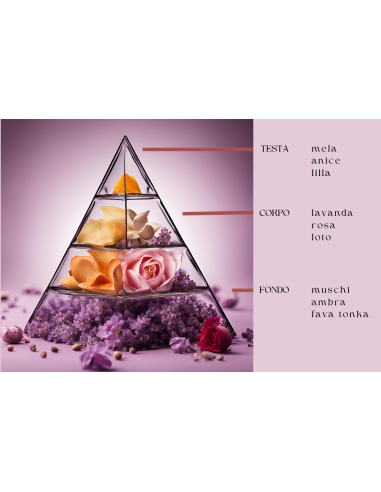 Essenza Black Diamond - Profumatore per bucato da 500 ml