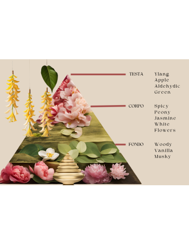 Cataleya & Ylang Ylang